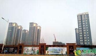 北湖新区最新爆料,揭秘未来城市新地标诞生记